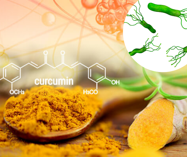 Tác dụng của nano curcumin tới việc hỗ trợ điều trị vi khuẩn HP