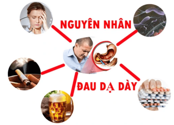 Viên dạ dày plus - Bước cải tiến mới giúp hỗ trợ giảm các triệu chứng dạ dày tá tràng từ sâu bên trong