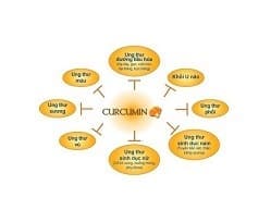 NANO CURCUMIN - hỗ trợ điều trị u biếu, nâng cao thể trạng bệnh nhân