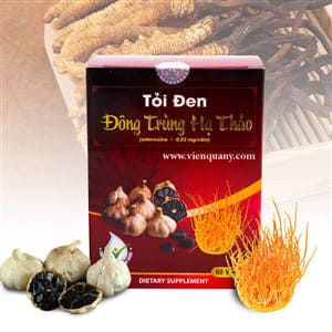 tong-hop-cong-dung-cua-dong-trung-ha-thao-trong-ho-tro-tri-benh