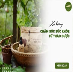 Xu hướng chăm sóc sức khoẻ chủ động bằng thảo dược lên ngôi