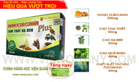 Gói 24 Hộp Nano Curcumin Tam Thất Xạ Đen Plus Chính Hãng | vienquany.com